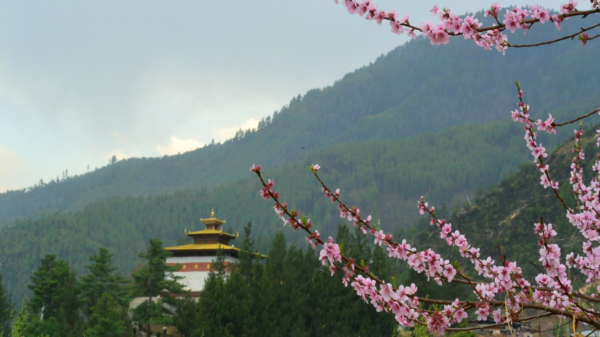 Journey in the Himalayas