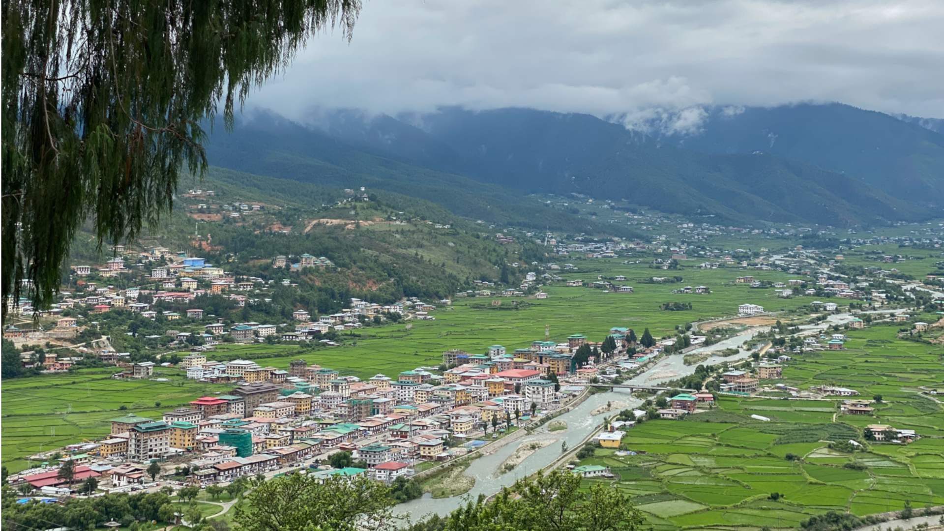 The Bhutan Experience