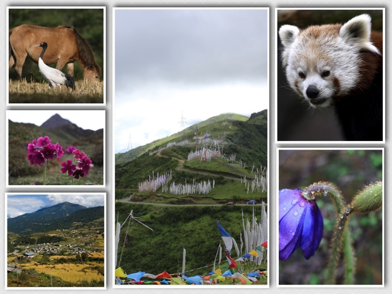 Why Visit Bhutan - Landscape, Flora and Fauna