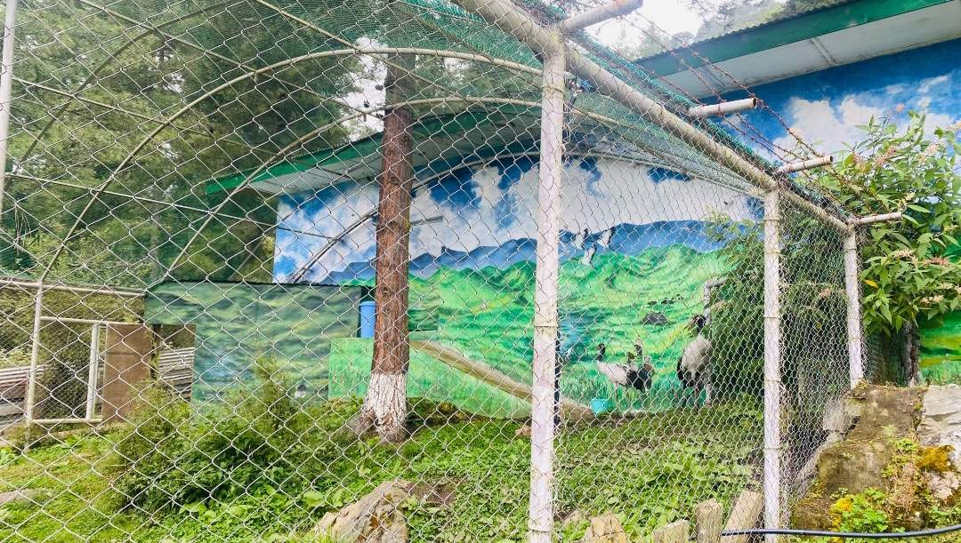 Black Necked Crane Centre, Phobjikha