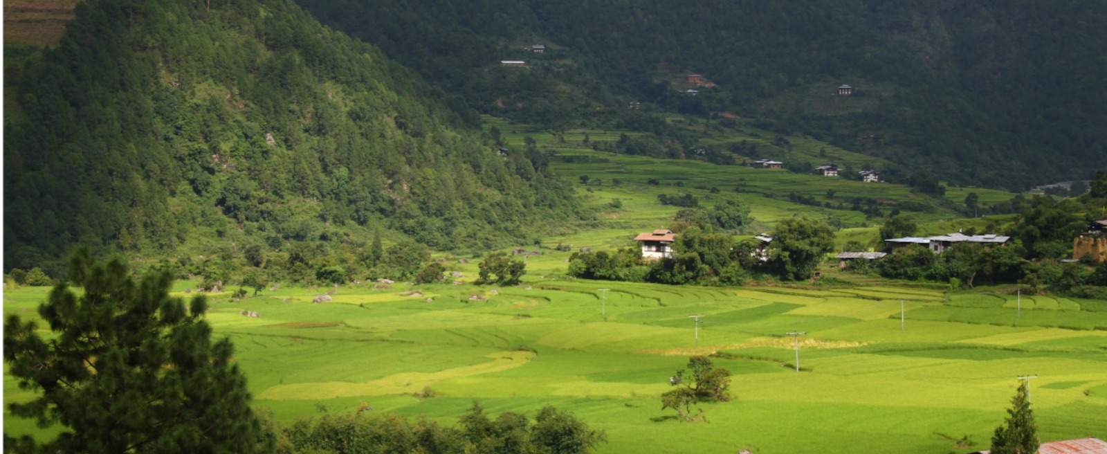 Bhutan trekking