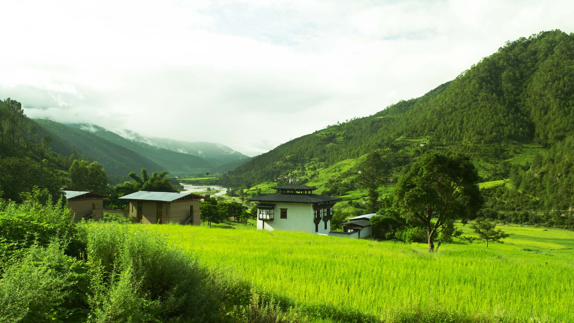 Aman Kora and Gangtey Lodge Luxury